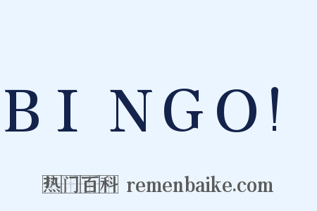 BINGO!是什么意思的图片